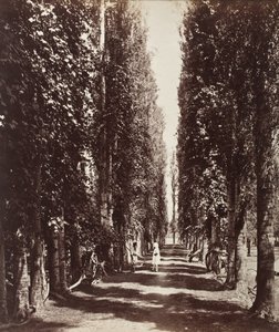 Indien von Samuel Bourne