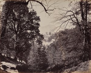 Shimla. Die Kirche durch die Bäume, von Jakko aus gesehen von Samuel Bourne