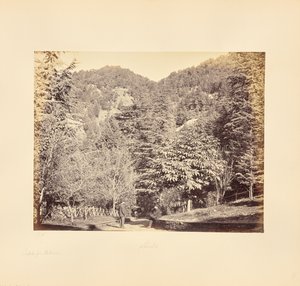 Simla; Jakko, von "Oakover" (Gesamtansicht von der Tonga-Straße) von Samuel Bourne