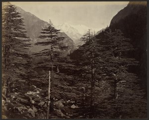 Schneebedeckte Gipfel bei Gangootri, von Bhairamghati aus von Samuel Bourne