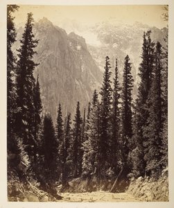 Schneebedeckte Höhen vom Wanga-Tal aus von Samuel Bourne