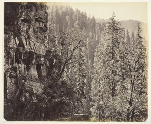 Ohne Titel von Samuel Bourne