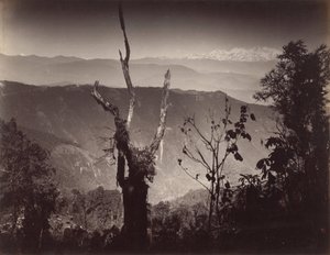 Blick von Senehal von Samuel Bourne