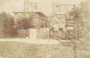 Baum im Hof von Samuel Buckle