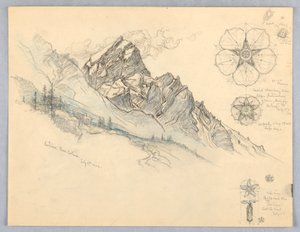 Antelao, von Cortina, mit Blumenstudien von Samuel Colman