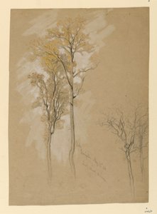 Eichen, Lady Wood Lane, Irvington