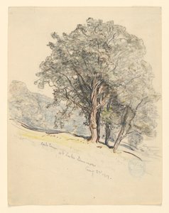 Studie von Eichen am Lake Dunmore, Vermont von Samuel Colman
