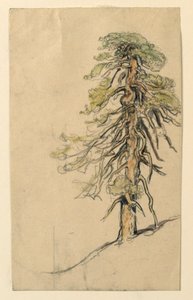 Studie eines Baumes auf einem Hügel