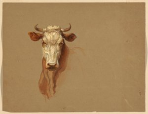 Zwei Studien von Rindern von Samuel Colman