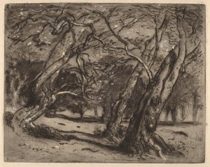 Ohne Titel (Waldlandschaft) von Samuel Colman