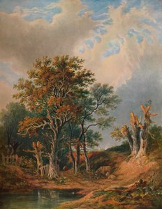 Landschaft, 1847 von Samuel David Colkett