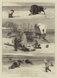 Ein Tag auf der Pirsch nach nordamerikanischen Büffeln von Samuel Edmund Waller