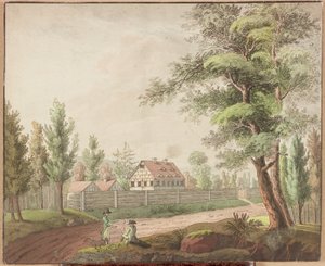 Landschaft