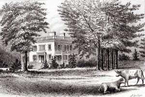Hamilton Grange, aus Altes New York, Band I, 1802