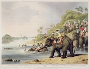 Verfolgung eines Tigers über einen Fluss, aus Oriental Field Sports, veröffentlicht von Edward Orme, 1807