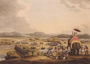Elefanten in ein Keddah treiben, aus "Oriental Field Sports", verlegt von Edward Orme