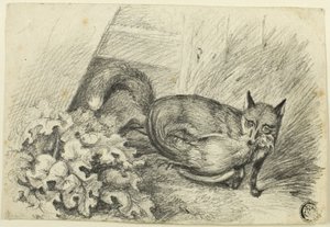 Fuchs stiehlt einen Hahn von Samuel Howett
