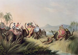 Der Tiger in der Enge, aus Oriental Field Sports, veröffentlicht von Edward Orme, 1807