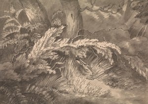 Ein Hase am Waldrand von Samuel Howitt