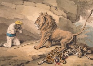 Ein Löwe steht über einem verwundeten Leoparden