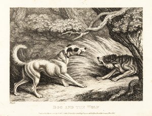 Ein Haushund in einem Halsband bietet einem verhungernden Wolf Futter an. 1811