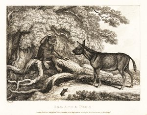 Ein Affe und ein Esel jammern, bis ein Maulwurf sie zum Schweigen bringt. 1811