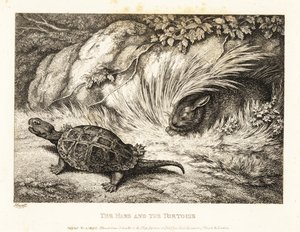 Eine Schildkröte überholt einen schlafenden Hasen im Rennen. 1811 (Radierung)