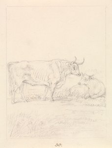 Stier und Kuh von Samuel Howitt