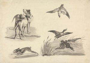 Blatt mit Studien von Hunden, Hase, Falke und Enten