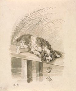 Der Hund und der Schatten von Samuel Howitt