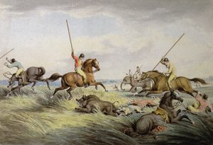 Die Schweinejagd - Der Fang, aus 