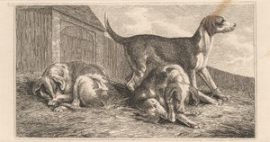 Drei Hunde