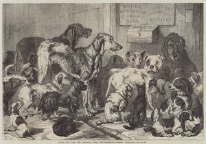 Heim für verlorene und hungernde Hunde, Hollingsworth-Straße, Islington von Samuel John Carter