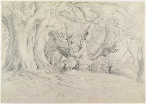 Alte Bäume, Lullingstone Park, 1828 von Samuel Palmer