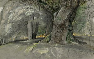 Eiche und Buche, Lullingstone Park