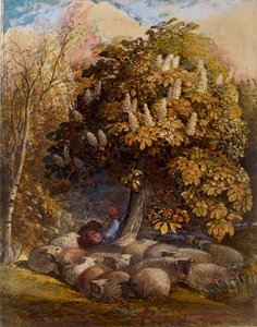 Pastorale mit einem Rosskastanienbaum, um 1830-1831 von Samuel Palmer