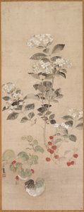 Sommerblumen