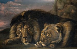 Schlafender Löwe und Löwin, 1823-1830