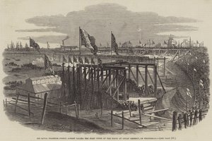 Seine Königliche Hoheit Prinz Albert legt den ersten Stein der Docks in Great Grimsby, am Mittwoch von Samuel Read