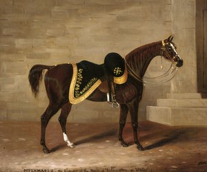 Kopenhagen, das Pferd des Herzogs von Wellington bei Waterloo von Samuel Spode