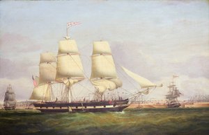 Euphrasia von Samuel Walters