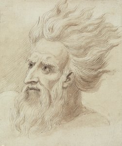 Kopf eines Mannes mit Bart und langen Haaren im Wind