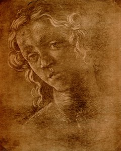 Weiblicher Kopf von Sandro Botticelli