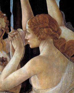 La Primavera von Sandro Botticelli