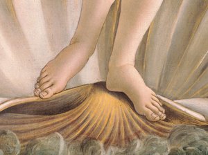 Die Geburt der Venus