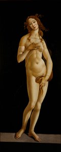 Venus Pudica, ca. 1485-1490