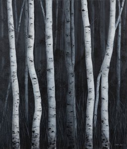 Birken von Sandy Iseli