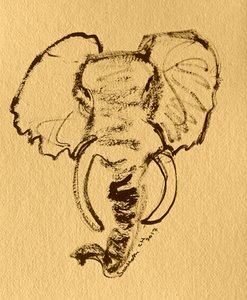 Afrikanische Elefanten-Skizze