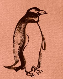 Eleganter Tintenpinguin