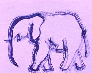 Elefant 36